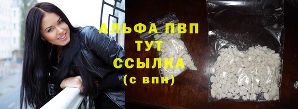 ECSTASY Тында