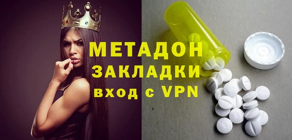 прущие грибы Туринск