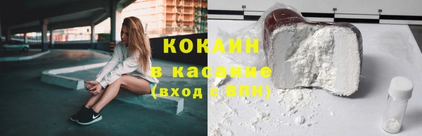 прущие грибы Туринск