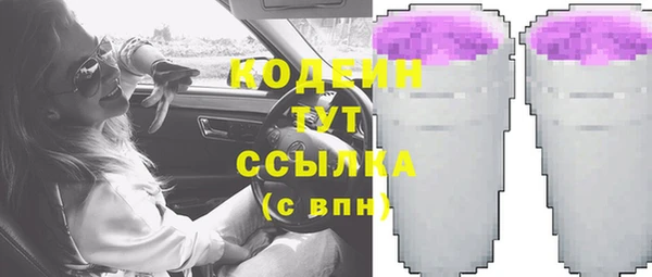 прущие грибы Туринск