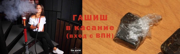 прущие грибы Туринск