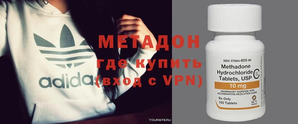 прущие грибы Туринск