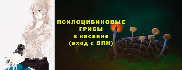 ECSTASY Тында