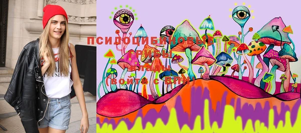 прущие грибы Туринск