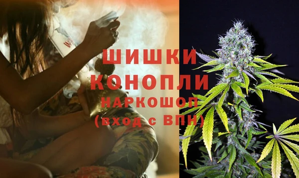 ECSTASY Тында