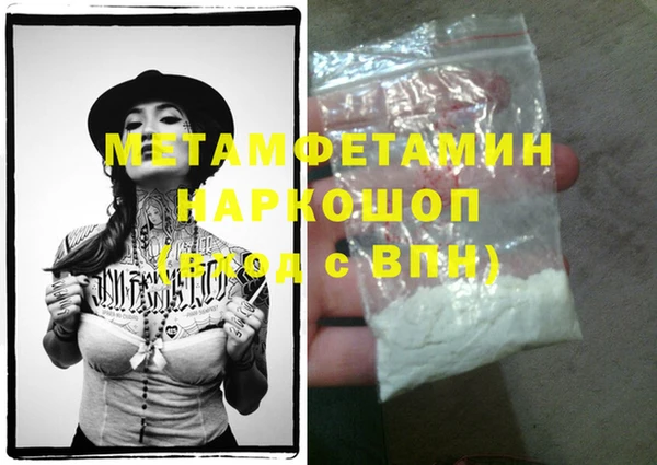 прущие грибы Туринск