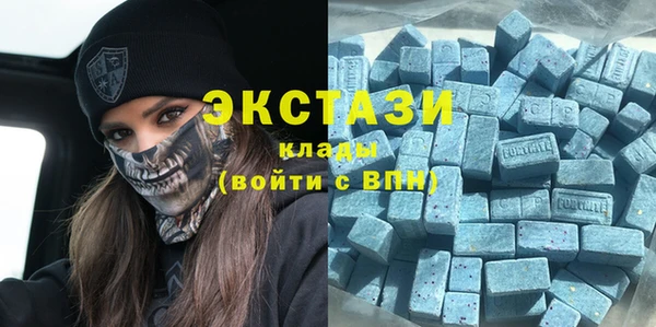прущие грибы Туринск