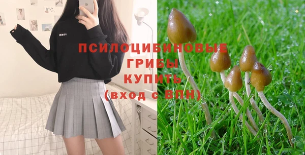 прущие грибы Туринск