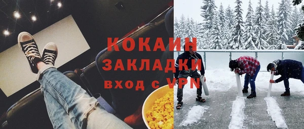 прущие грибы Туринск