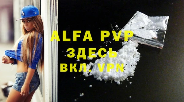 ECSTASY Тында
