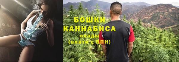 прущие грибы Туринск
