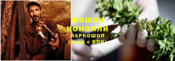 прущие грибы Туринск